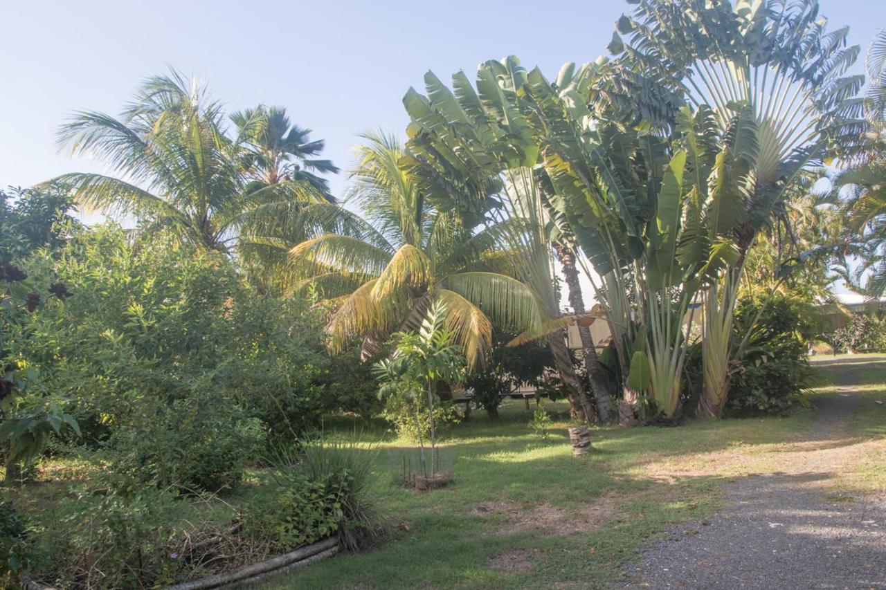 Gite Le Colibri Bungalow Azur Avec Reserve D'Eau Saint-Francois  Exteriör bild