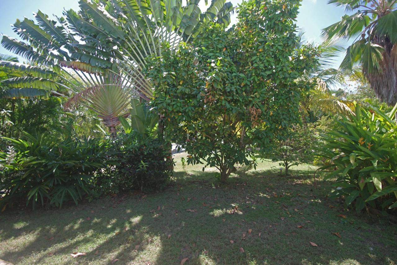 Gite Le Colibri Bungalow Azur Avec Reserve D'Eau Saint-Francois  Exteriör bild