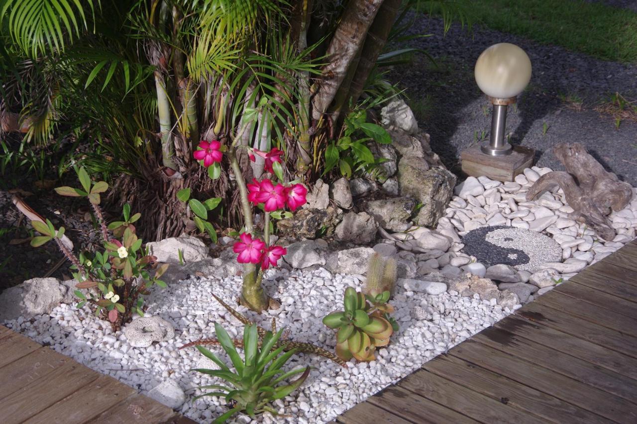 Gite Le Colibri Bungalow Azur Avec Reserve D'Eau Saint-Francois  Exteriör bild