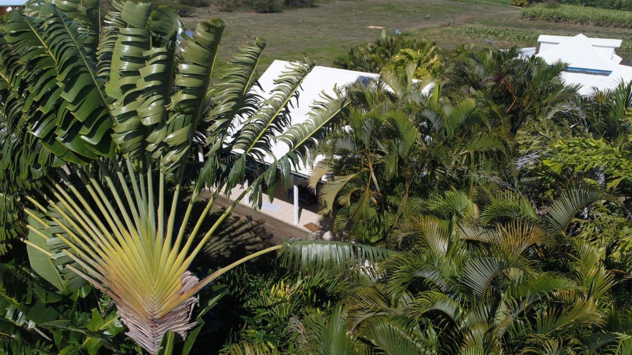 Gite Le Colibri Bungalow Azur Avec Reserve D'Eau Saint-Francois  Exteriör bild