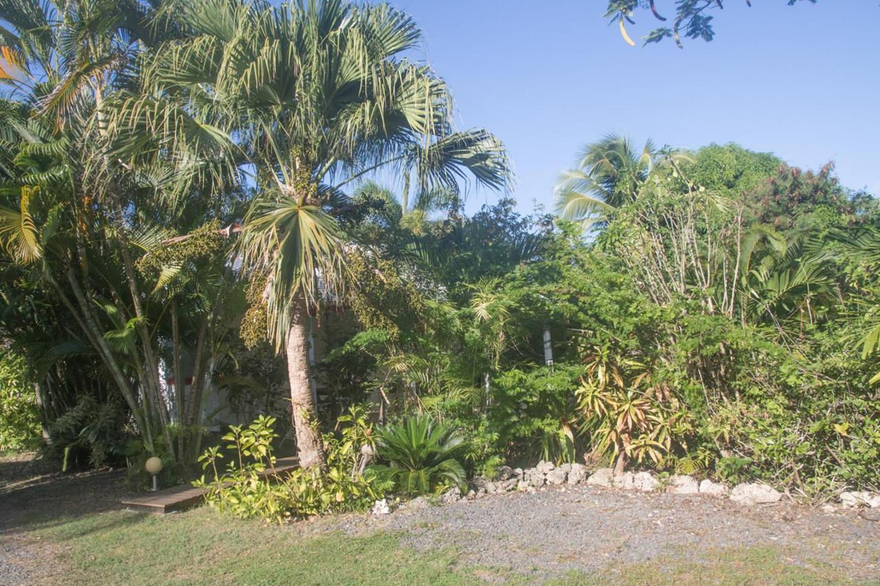 Gite Le Colibri Bungalow Azur Avec Reserve D'Eau Saint-Francois  Exteriör bild